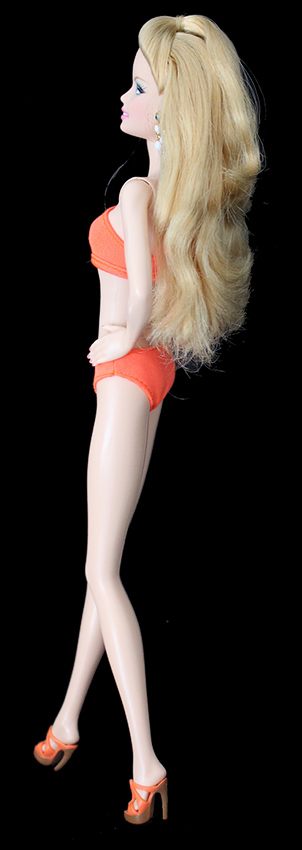 Barbie - Collection - Happy Birthday Ken