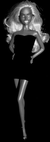 Barbie Fashionistas N°125