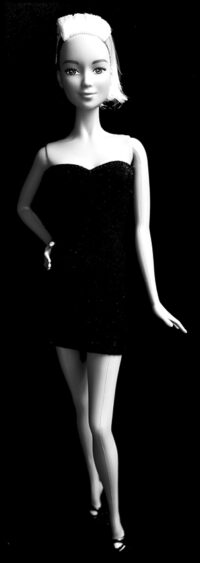 Barbie Fashionistas N°44
