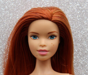Barbie Fashionistas N°16
