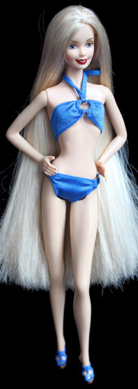 Barbie Collection Dolls of the World Polish
