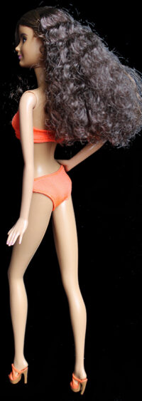Barbie Fashionistas N°24