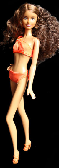 Barbie Fashionistas N°24