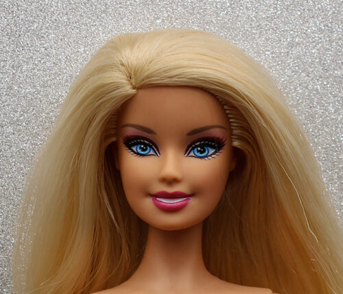 Barbie A Perfect Christmas - Singing Set