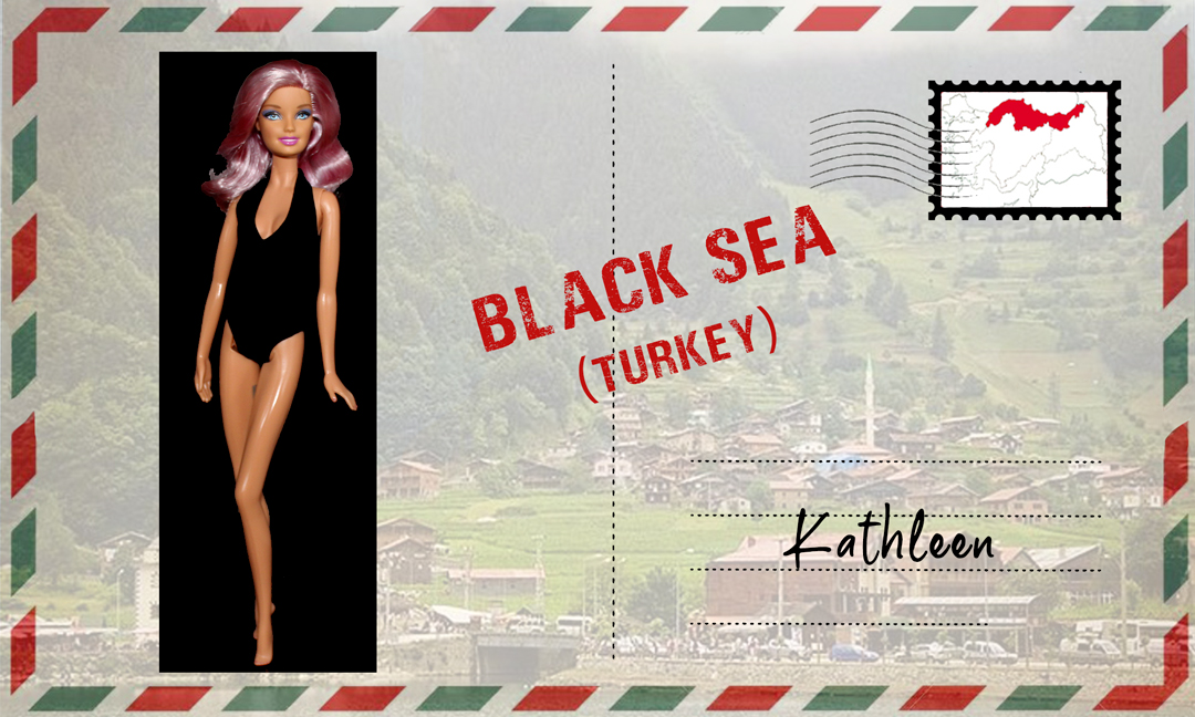 Barbie Fashionistas Swappin' Styles Sweetie