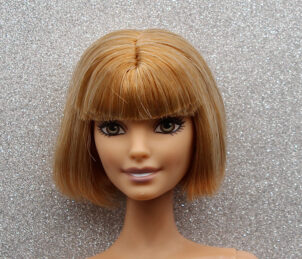 Barbie Fashionistas N°23