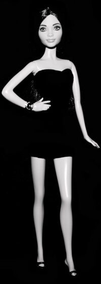 Barbie Fashionistas N°38