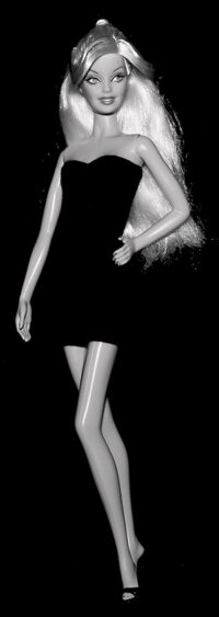 Barbie - Collection - Happy Birthday, Gorgeous