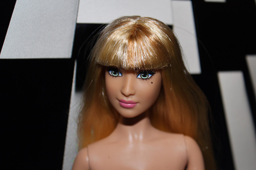 Barbie Fashionistas N°43