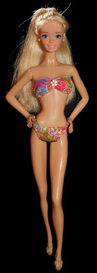 Barbie Brunnhilde (Pet Doctor) - Imagem 2