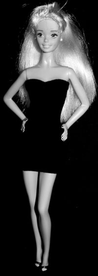 Barbie Brunhilde