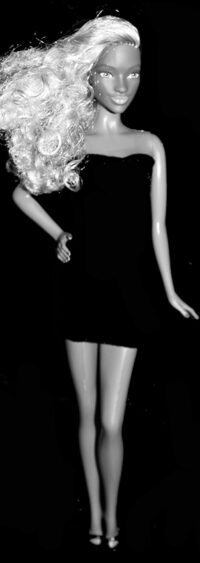 Barbie Fashionistas N°57 - Zig & Zag - Curvy