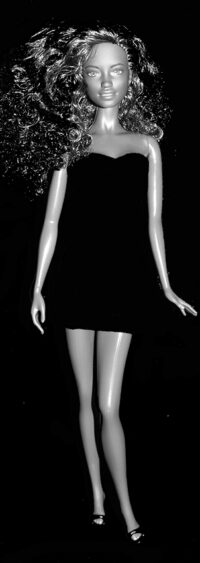 Barbie Fashionistas N°20
