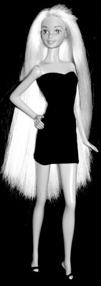 Barbie Lindsay (Foam n Color) – Bild 3
