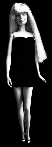 Barbie Collection Look - Urban Jungle