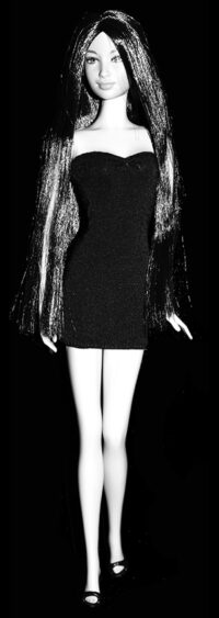 Barbie Northwest Coast Native American