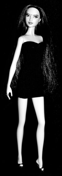 Barbie Collection Dolls of the World Princess of India