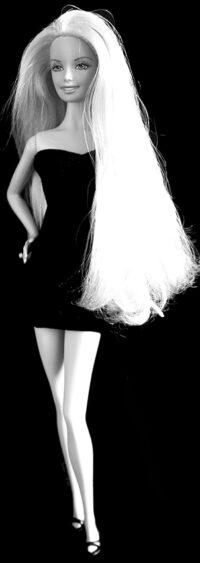 Barbie Taylor (Swan Lake) - Image 3