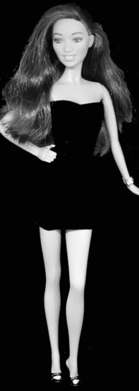 Barbie Fashionistas