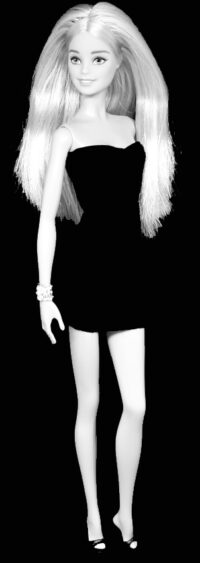 The Barbie Look - Park Pretty