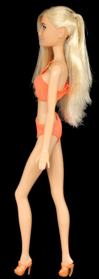 Barbie Fashionistas N°68