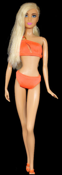 Barbie Fashionistas N°68