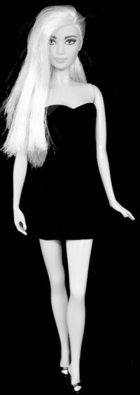 Barbie Fashionistas N°68
