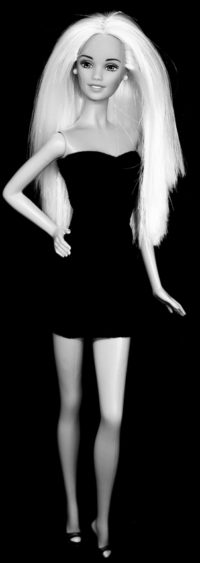 Barbie Skipper Forida
