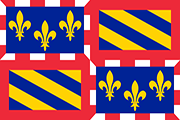 Drapeau Bourgogne (FR)