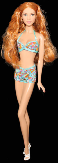 Barbie Mera Justice League