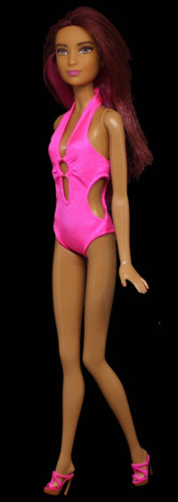 Barbie Fashionistas N°17