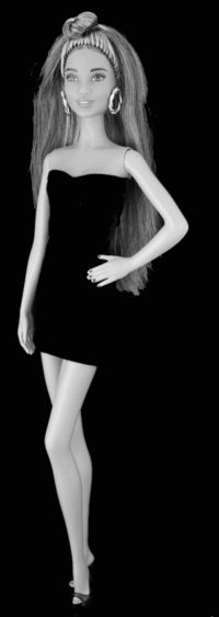 Barbie Fashionistas N°73