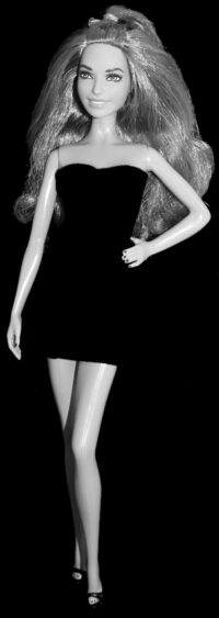 Barbie Fashionistas N°84