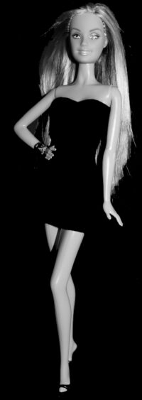 Barbie Evie (Fashion Show) – Bild 3