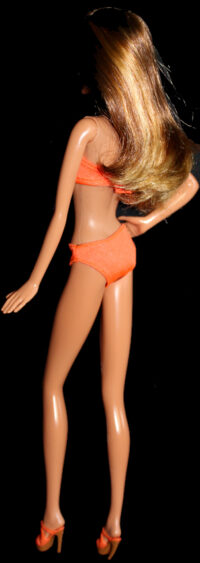 Barbie Graduation Day - Neysa