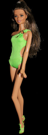 Barbie Fashionistas N°97