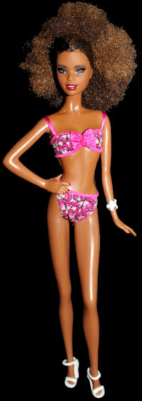 Barbie Holiday 2018 - Asha