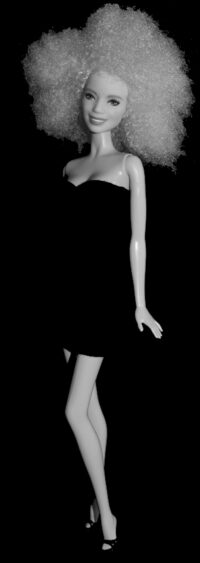 Barbie Fashionistas N°91
