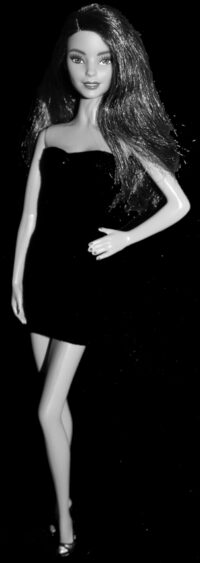 Barbie Fashionistas N°78