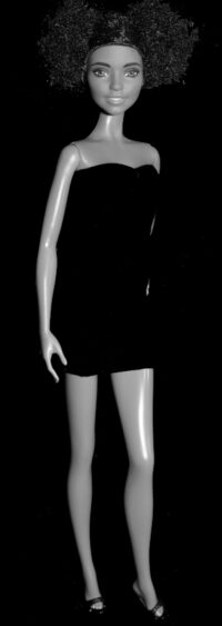 Barbie Fashionistas N°80