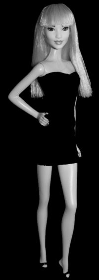 Barbie Fashionistas N°60