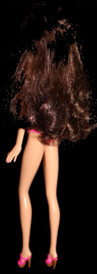 Barbie Winter Fantasy