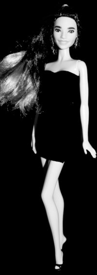 Barbie Fashionistas N°110