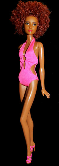 Barbie Fashionistas N°100