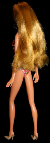 Barbie Fashionistas N°108