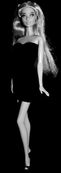 Barbie Fashionistas N°108