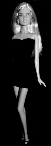 Barbie Fashionistas N°94