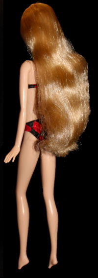 Barbie Jude Deveraux The Raider and Ken Giftset