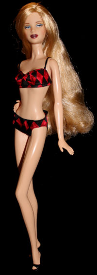 Barbie Jude Deveraux The Raider and Ken Giftset