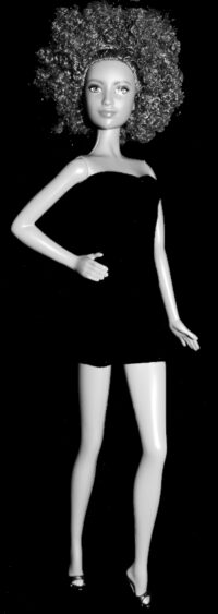 Barbie Fashionistas N°100